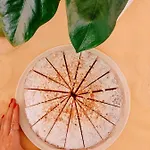 Half Moon Airport Restaurant 3* Rivazzurra Di Rimini