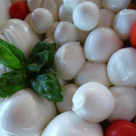 Alojamento de Acomodação e Pequeno-almoço Half Moon Airport Restaurant Rivazzurra Di Rimini