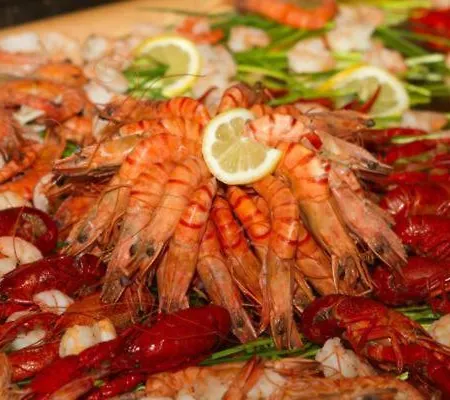 Half Moon Airport Restaurant 住宿加早餐酒店 3*