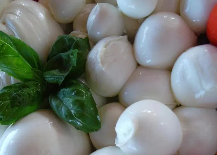 Nocleg ze śniadaniem Half Moon Airport Restaurant Rivazzurra Di Rimini